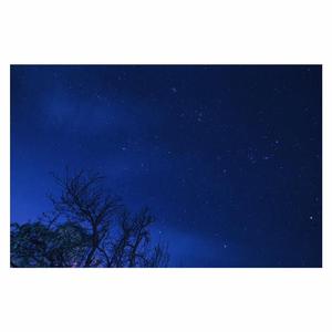 亚洲日韩精品一区
